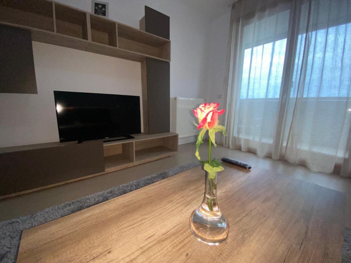 Central Apartment Timisoara Exterior foto
